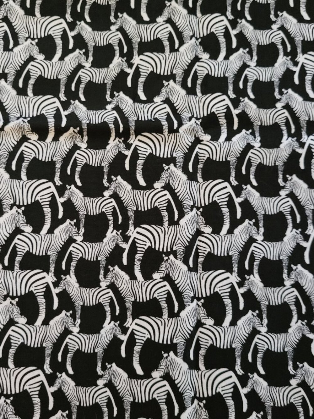 Lovely Zebra Print Fabric by Timeless Treasures  1  Yard by 45" Wide
